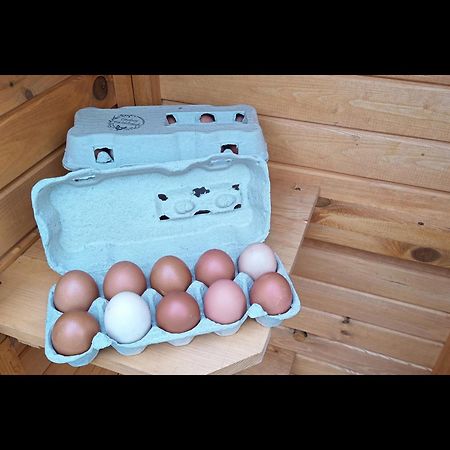 Neu! Landhaus Ostfriesenruhe Berumbur Exteriör bild