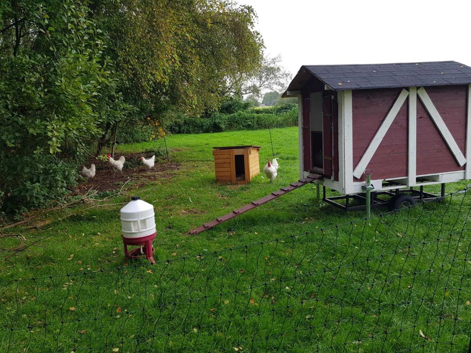 Neu! Landhaus Ostfriesenruhe Berumbur Exteriör bild