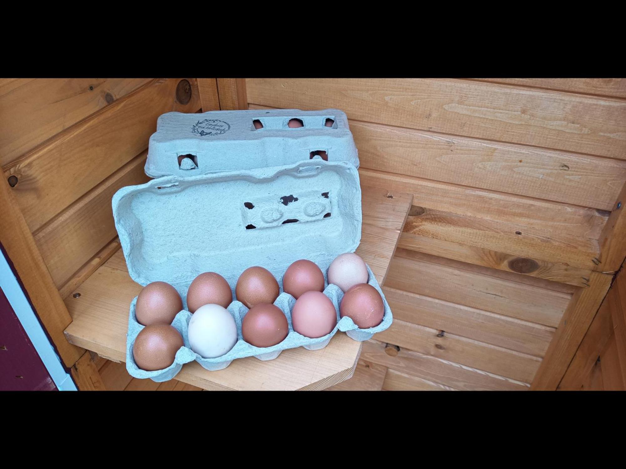 Neu! Landhaus Ostfriesenruhe Berumbur Exteriör bild